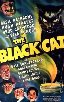 《黑猫1941》：尘封的二战记忆，看传奇女特工如何演绎惊心动魄的谍战人生